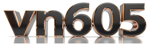 vn605 logo